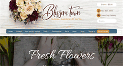 Desktop Screenshot of blossomtown.com